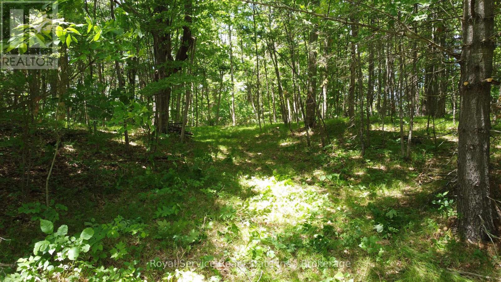 1794 Springbrook Road, Stirling-Rawdon, Ontario  K0K 3C0 - Photo 22 - X13473990