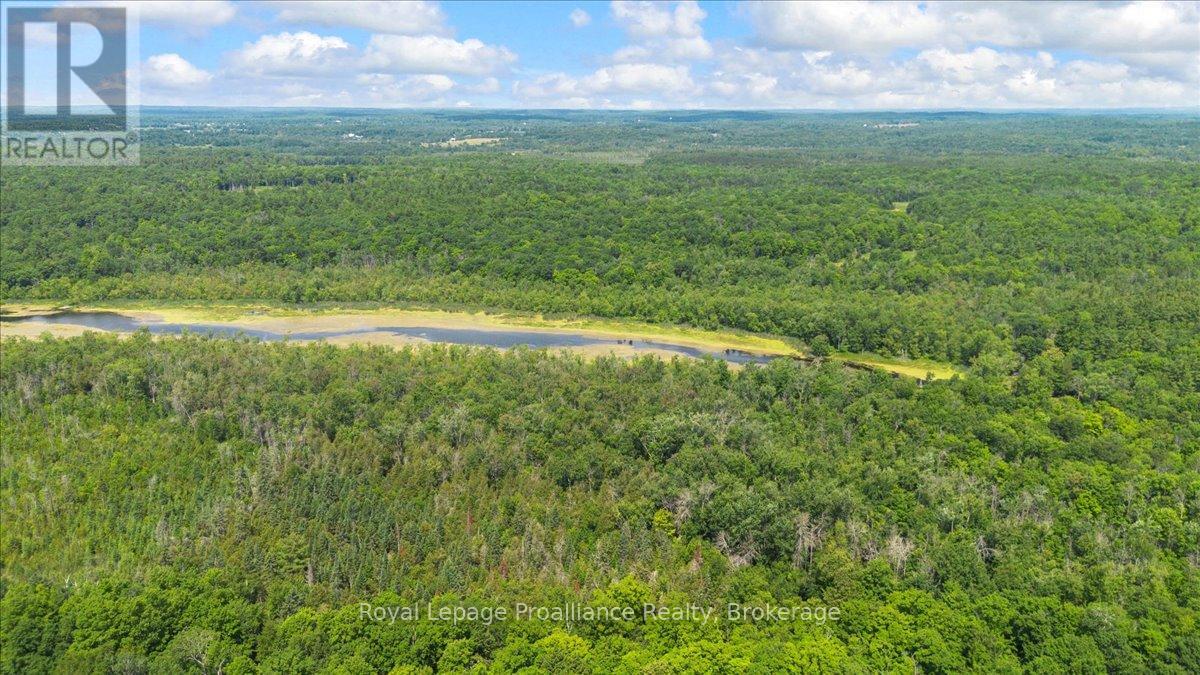 0 Rapids Court, Tweed, Ontario  K0K 3J0 - Photo 8 - X13474958