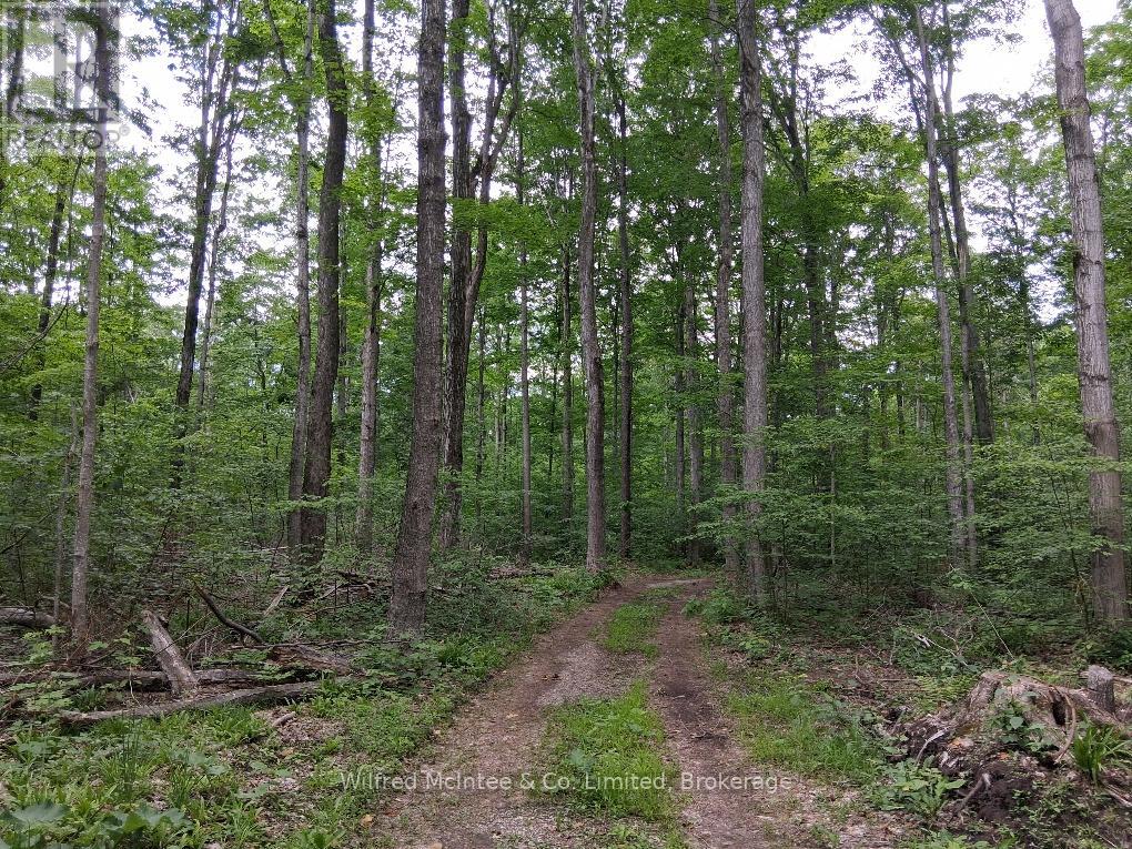 37225 Glens Hill Road, Ashfield-Colborne-Wawanosh, Ontario  N0M 1E0 - Photo 7 - X13472530