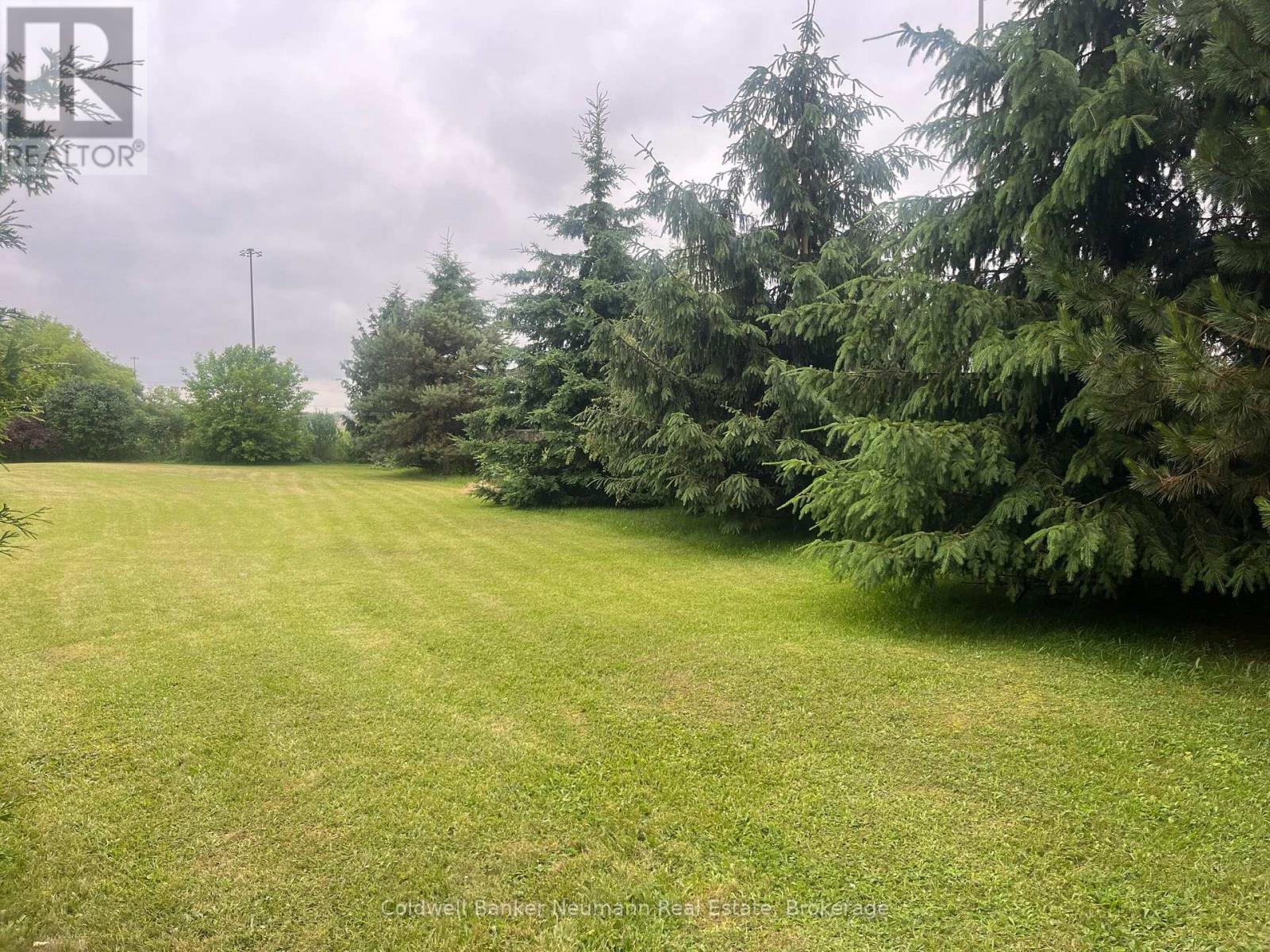 9 Eden Street, Guelph, Ontario N1H 3E2 - Photo 6 - X13473348
