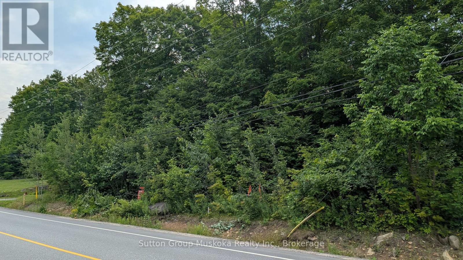 837 Aspdin Road, Huntsville, Ontario  P1H 0H2 - Photo 7 - X13473202