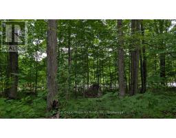 837 ASPDIN ROAD, Huntsville, Ontario