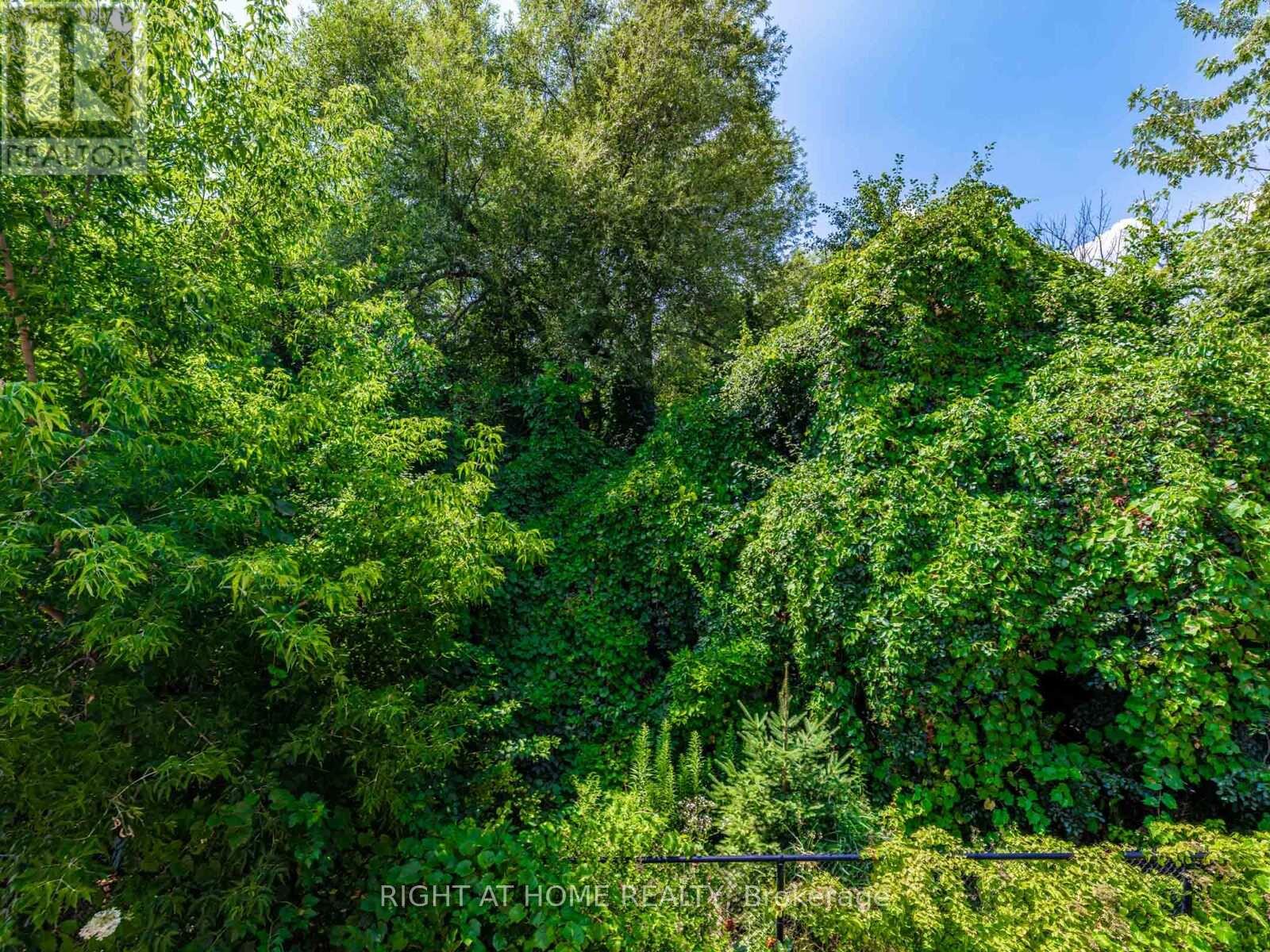 67 Timna Crescent, Vaughan, Ontario  L6A 4L7 - Photo 34 - N13474670