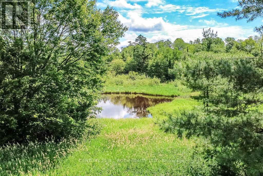 1205 Fair Grounds Road, Ramara, Ontario  L0K 1B0 - Photo 13 - S13473438
