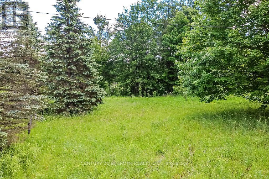1205 Fair Grounds Road, Ramara, Ontario  L0K 1B0 - Photo 5 - S13473438