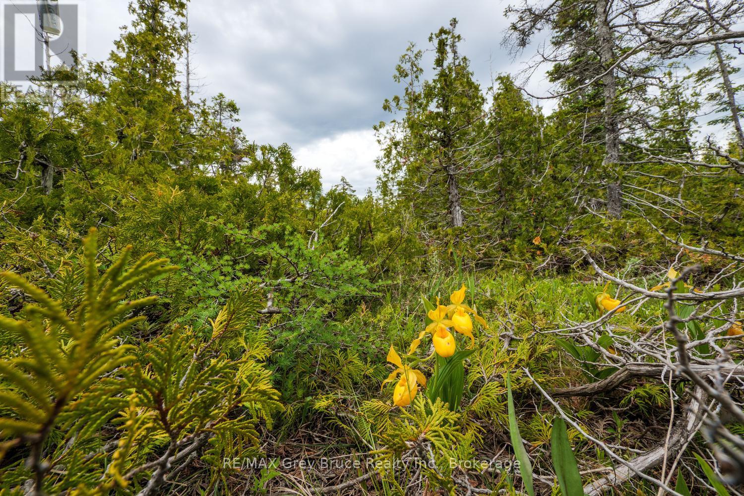 149 Robert Allen Drive, Northern Bruce Peninsula, Ontario  N0H 2R0 - Photo 12 - X13474976