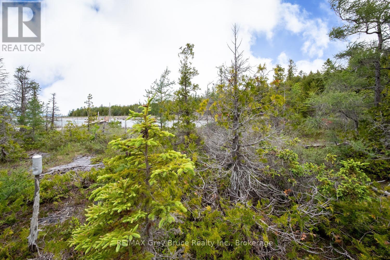 149 Robert Allen Drive, Northern Bruce Peninsula, Ontario  N0H 2R0 - Photo 13 - X13474976