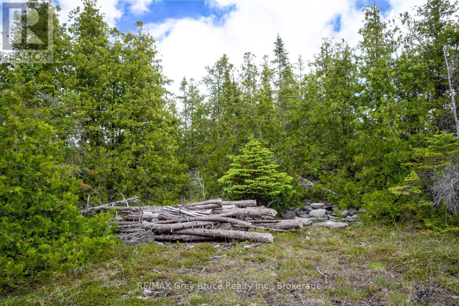 149 Robert Allen Drive, Northern Bruce Peninsula, Ontario  N0H 2R0 - Photo 39 - X13474976