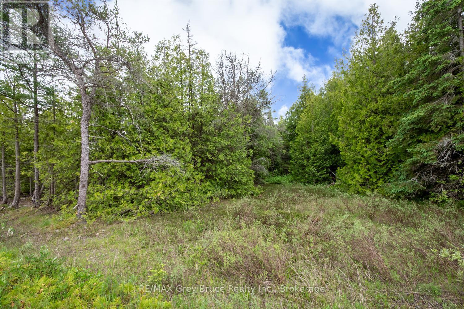 149 Robert Allen Drive, Northern Bruce Peninsula, Ontario  N0H 2R0 - Photo 47 - X13474976