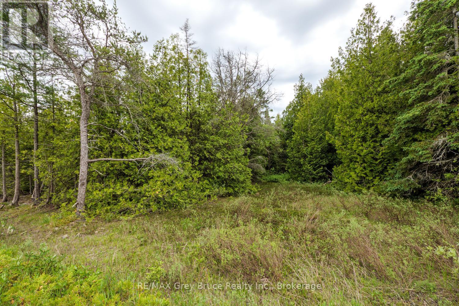 149 Robert Allen Drive, Northern Bruce Peninsula, Ontario  N0H 2R0 - Photo 48 - X13474976