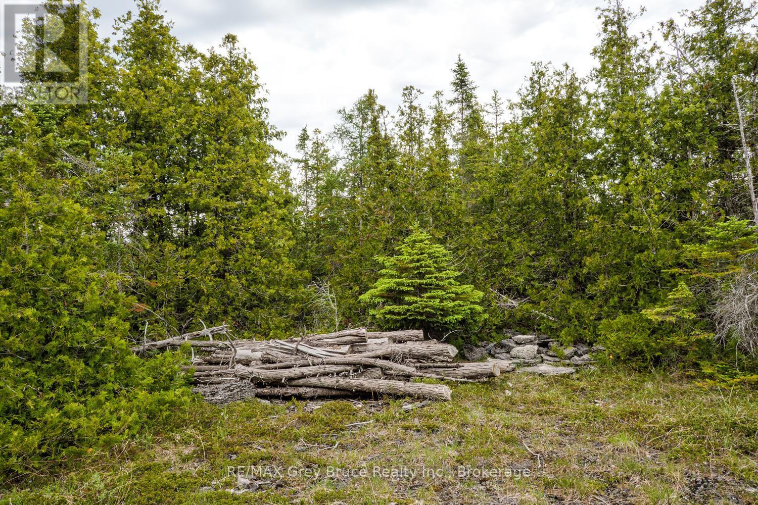 149 Robert Allen Drive, Northern Bruce Peninsula, Ontario  N0H 2R0 - Photo 40 - X13474976
