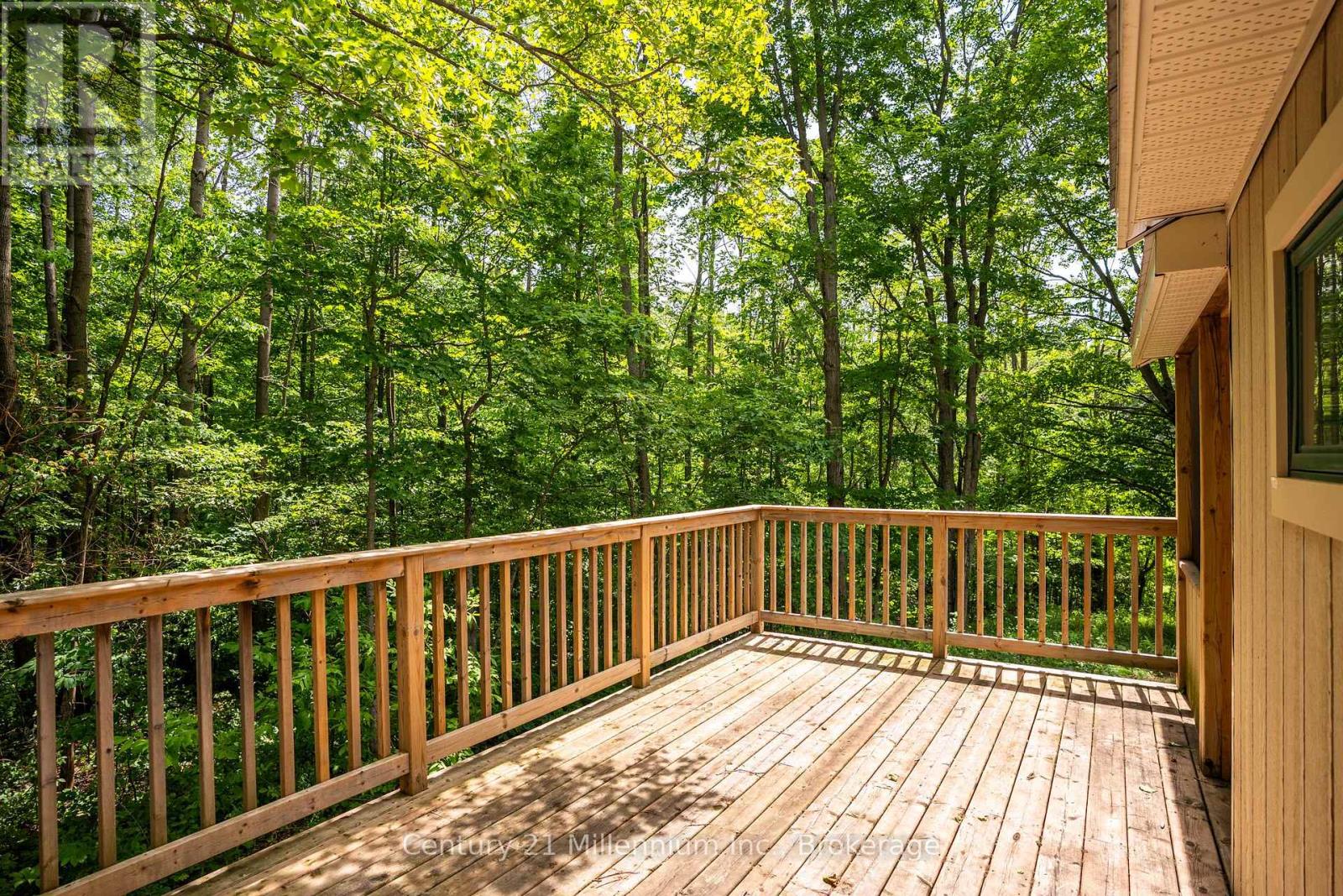 24784 Holland Sydenham Townline, Chatsworth, Ontario  N0H 1E0 - Photo 12 - X13475908