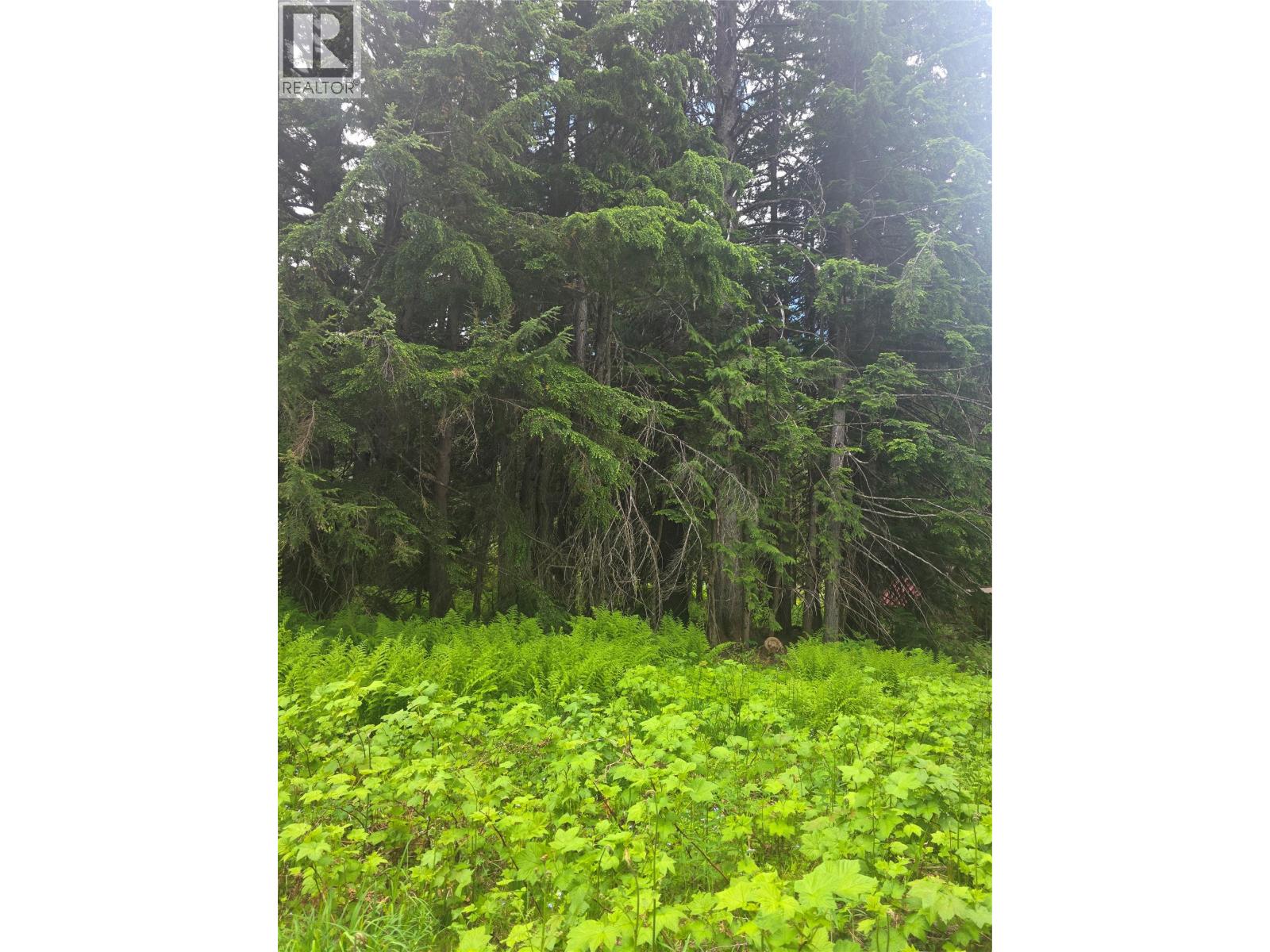 Ferguson Road Lot# 23, Ferguson, British Columbia