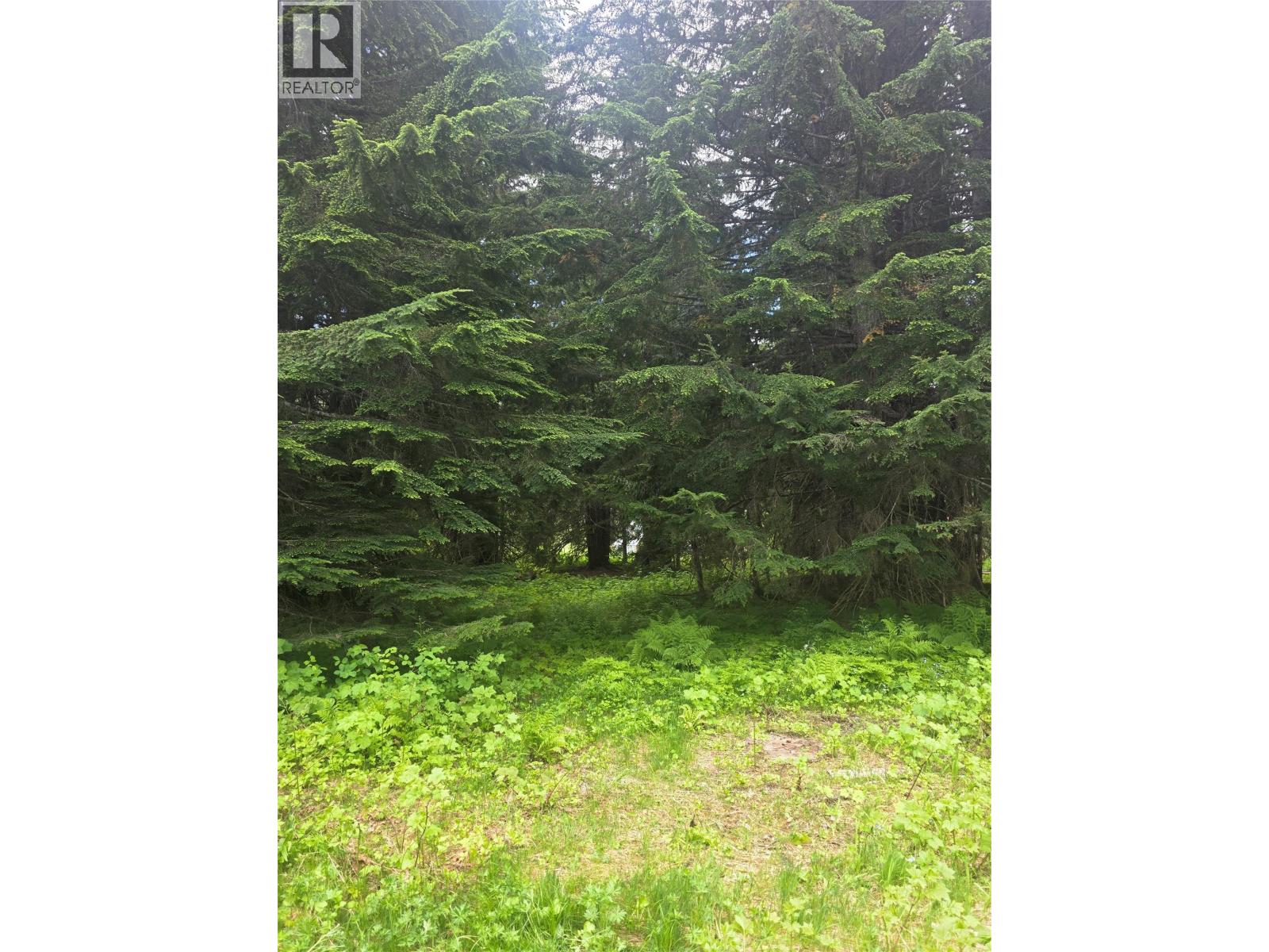 Ferguson Road Lot# 22, Ferguson, British Columbia