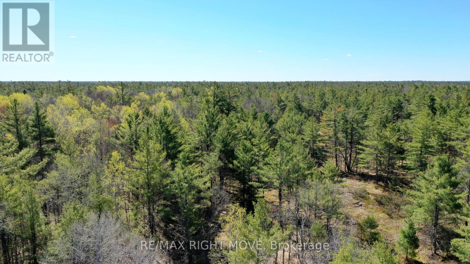 2503 SOUTHWOOD ROAD, Gravenhurst, Ontario