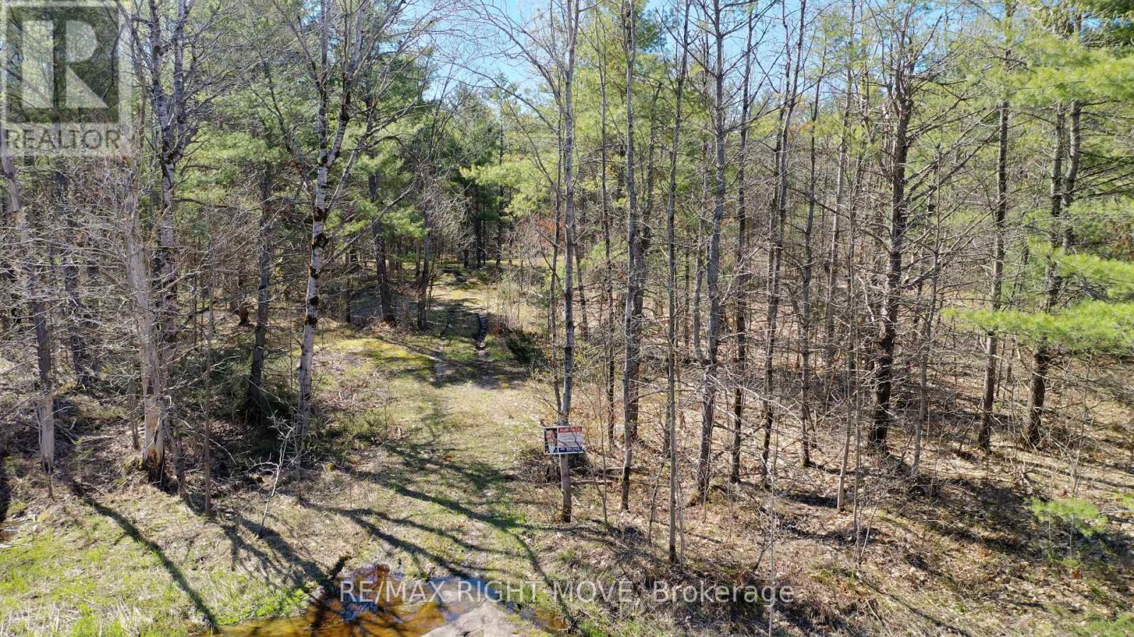 2503 Southwood Road, Gravenhurst, Ontario  P0E 1G0 - Photo 2 - X13472848