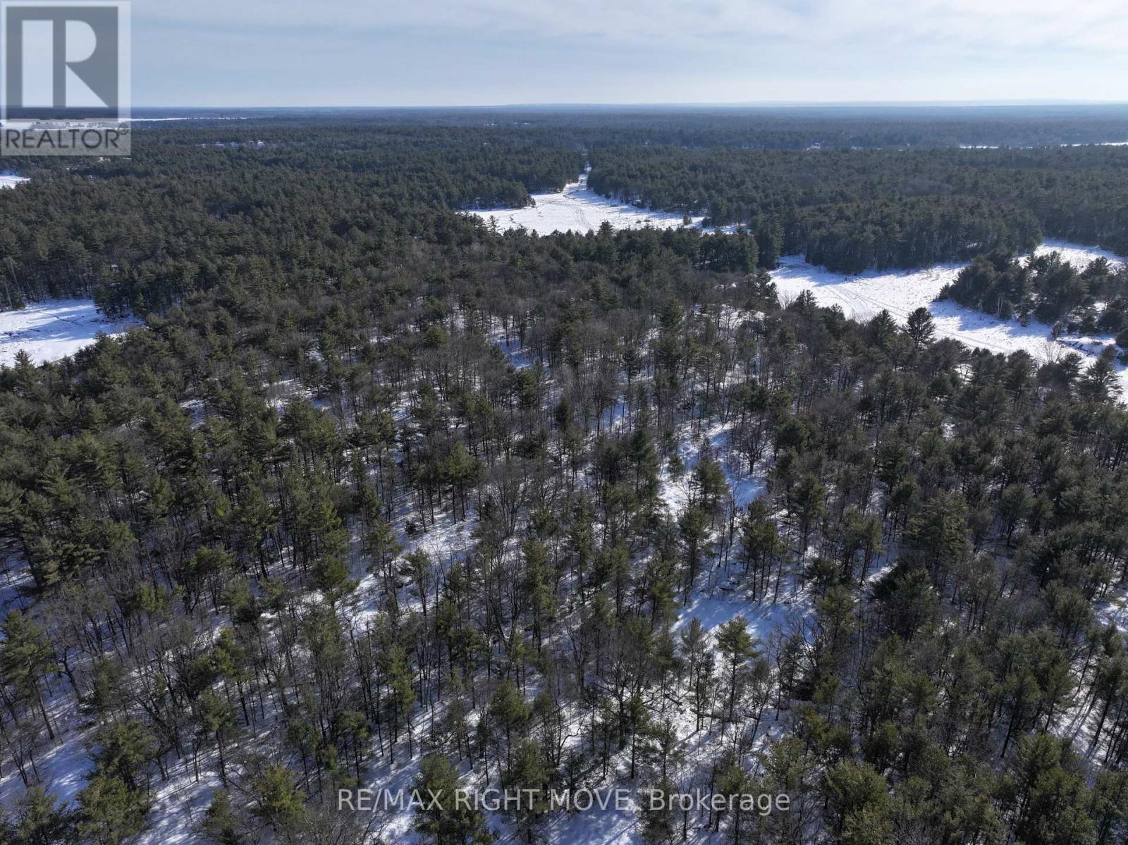 2503 Southwood Road, Gravenhurst, Ontario  P0E 1G0 - Photo 5 - X13472848