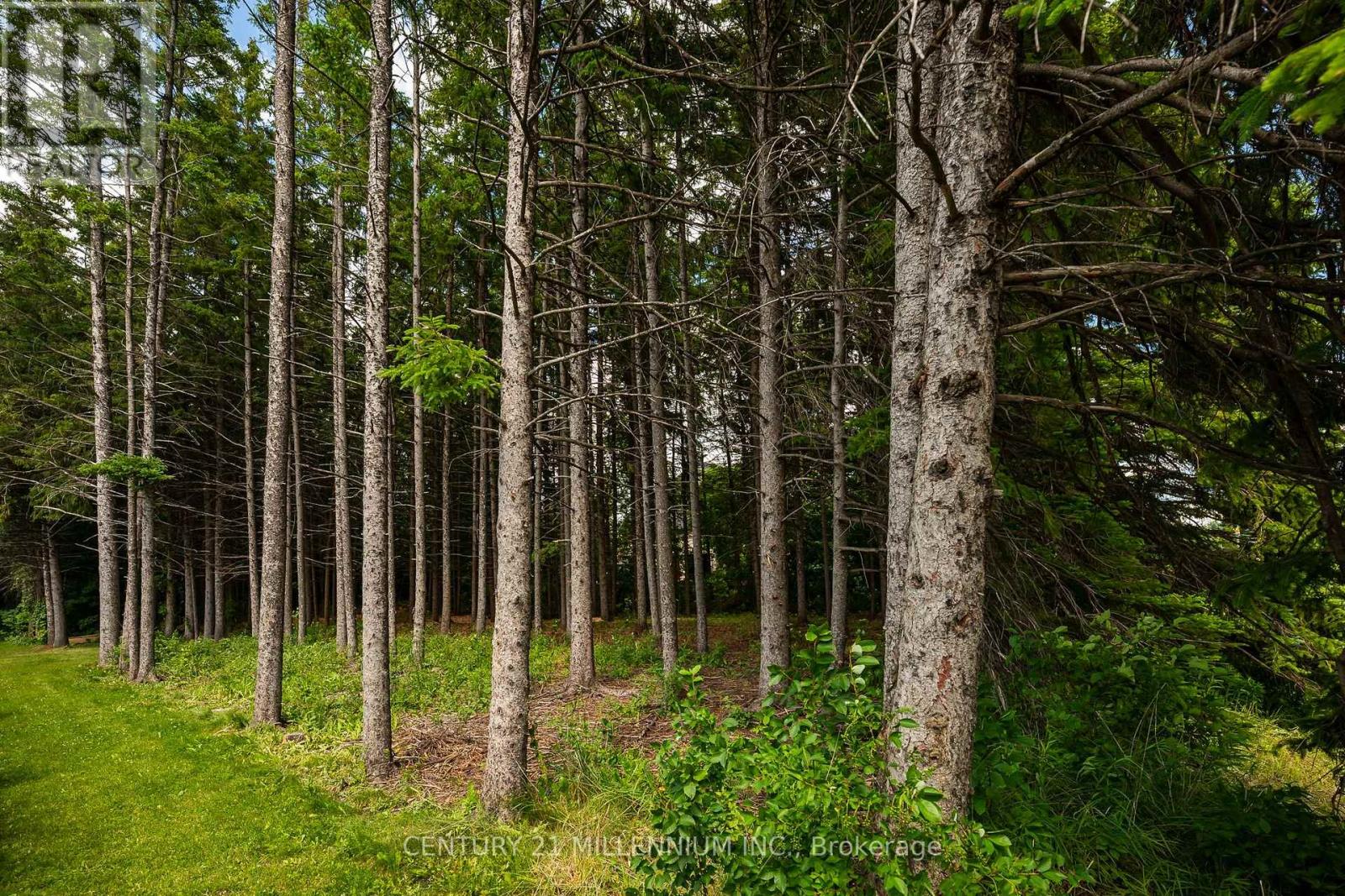 24 Buena Vista Drive, Mono, Ontario  L9W 5K8 - Photo 9 - X13475170