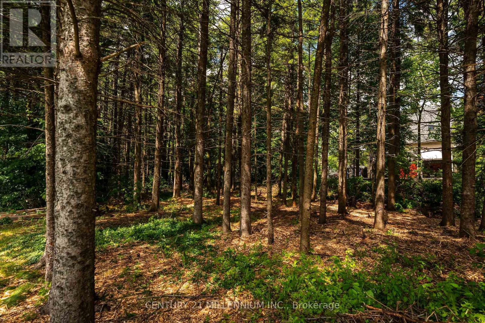 24 Buena Vista Drive, Mono, Ontario  L9W 5K8 - Photo 11 - X13475170
