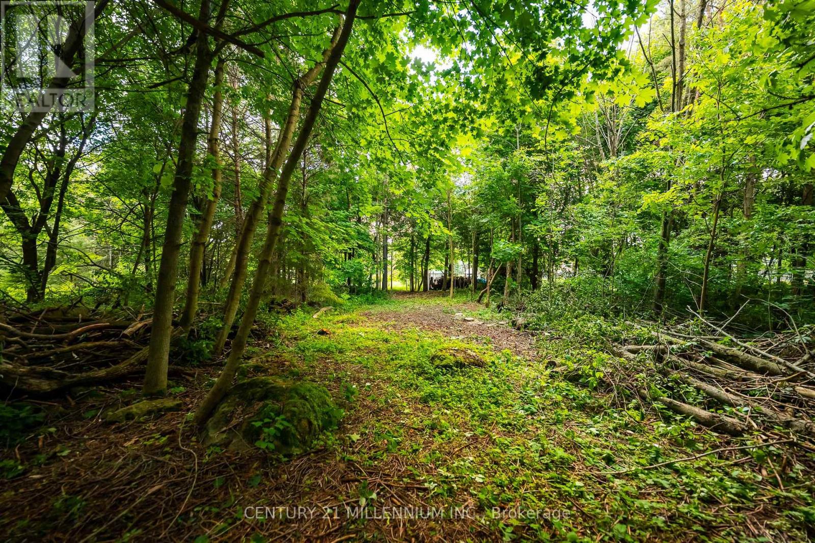 24 Buena Vista Drive, Mono, Ontario  L9W 5K8 - Photo 20 - X13475170