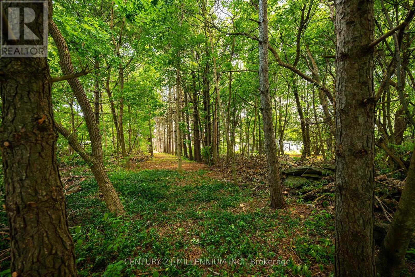 24 Buena Vista Drive, Mono, Ontario  L9W 5K8 - Photo 22 - X13475170