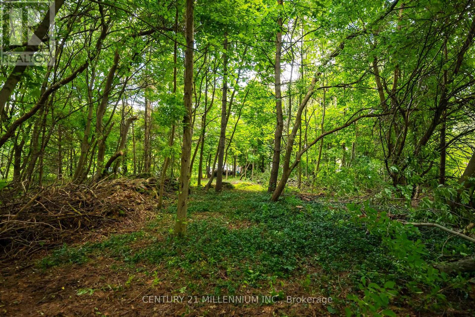 24 Buena Vista Drive, Mono, Ontario  L9W 5K8 - Photo 18 - X13475170