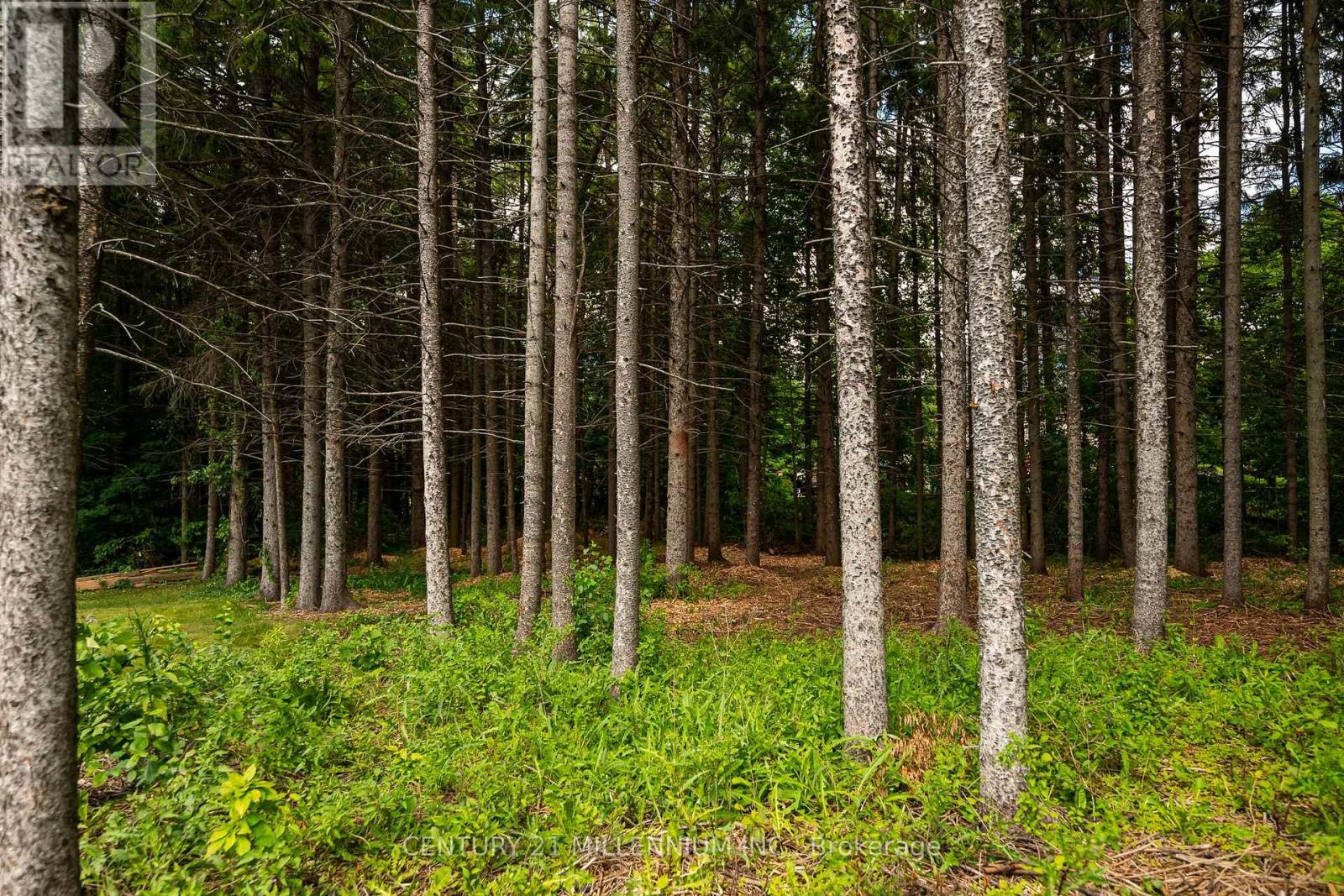 24 Buena Vista Drive, Mono, Ontario  L9W 5K8 - Photo 10 - X13475170