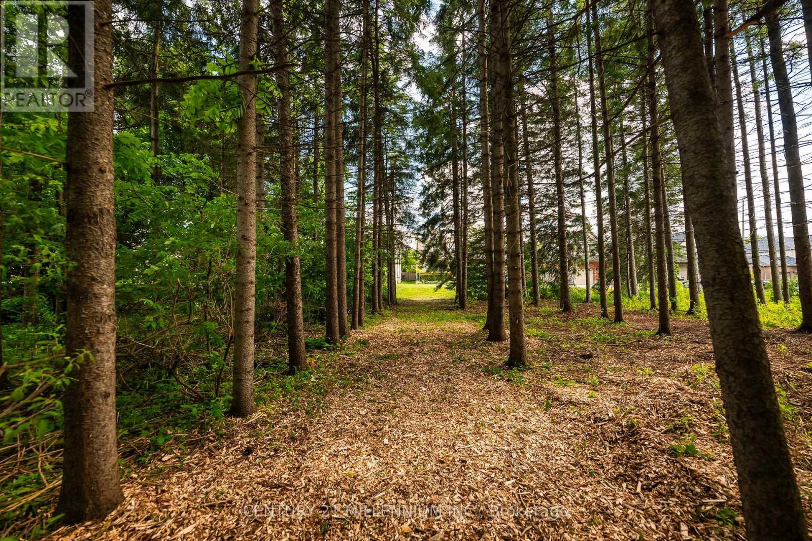 24 Buena Vista Drive, Mono, Ontario  L9W 5K8 - Photo 15 - X13475170
