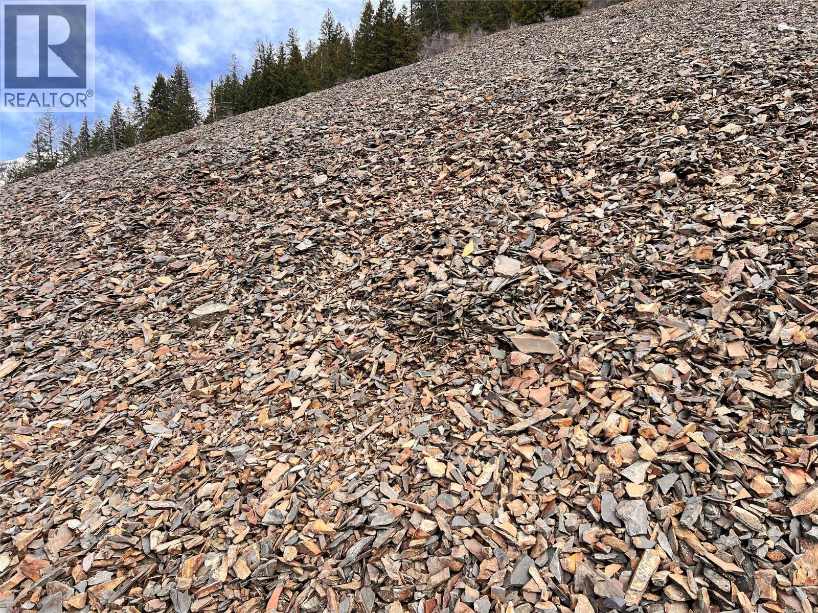 4 Gravel Pits Crown Lease, Galloway, British Columbia  V0B 1T2 - Photo 6 - 10390126
