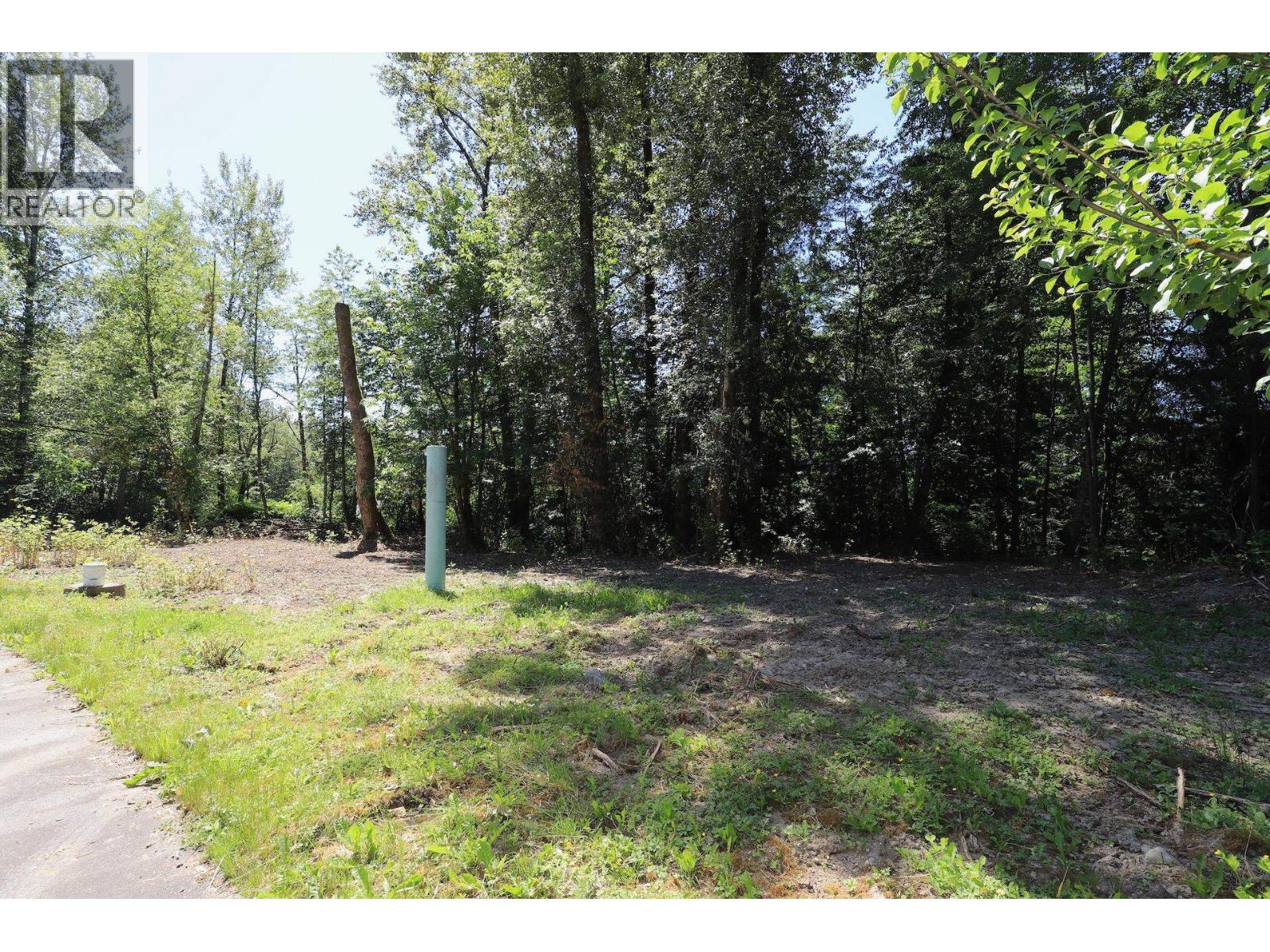25982 Dewdney Trunk Road, Maple Ridge, British Columbia  V4R 1Y4 - Photo 28 - R3138459
