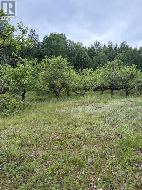 144 Trebinski Road, Madawaska Valley, Ontario  K0J 1B0 - Photo 47 - X13422430