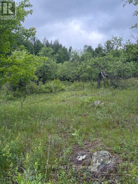 144 Trebinski Road, Madawaska Valley, Ontario  K0J 1B0 - Photo 50 - X13422430
