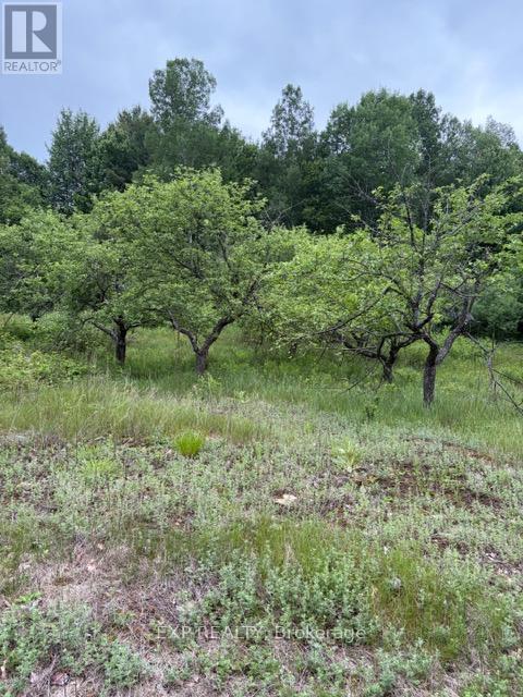 144 Trebinski Road, Madawaska Valley, Ontario  K0J 1B0 - Photo 49 - X13422430