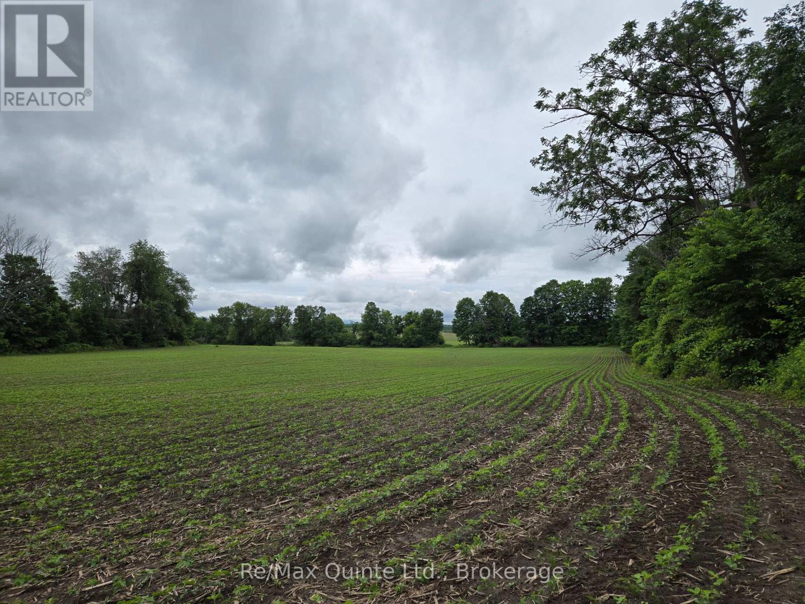 0 Marrisett Road, Tweed, Ontario  K0K 3H0 - Photo 12 - X12833442