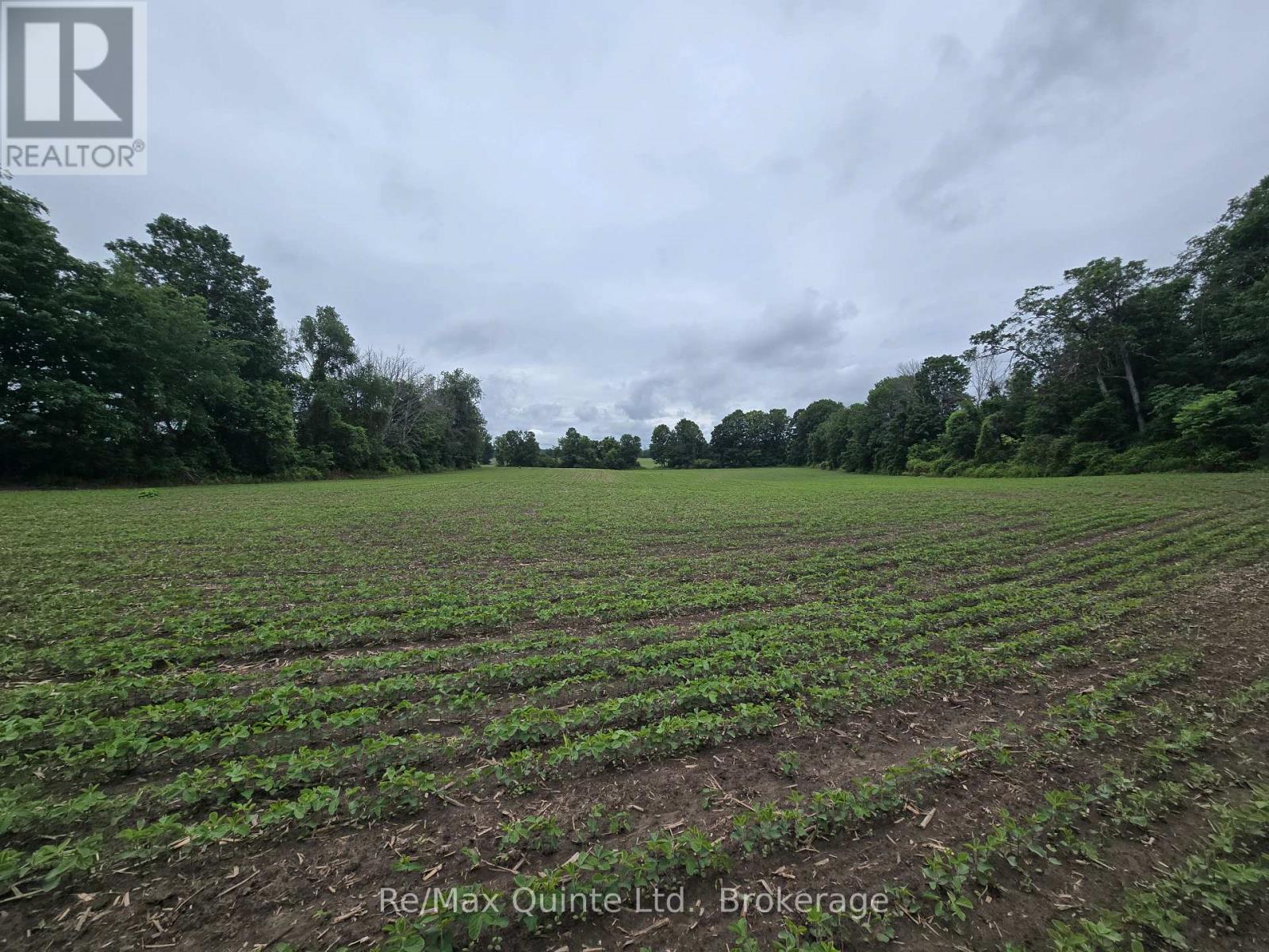 0 Marrisett Road, Tweed, Ontario  K0K 3H0 - Photo 2 - X12833442