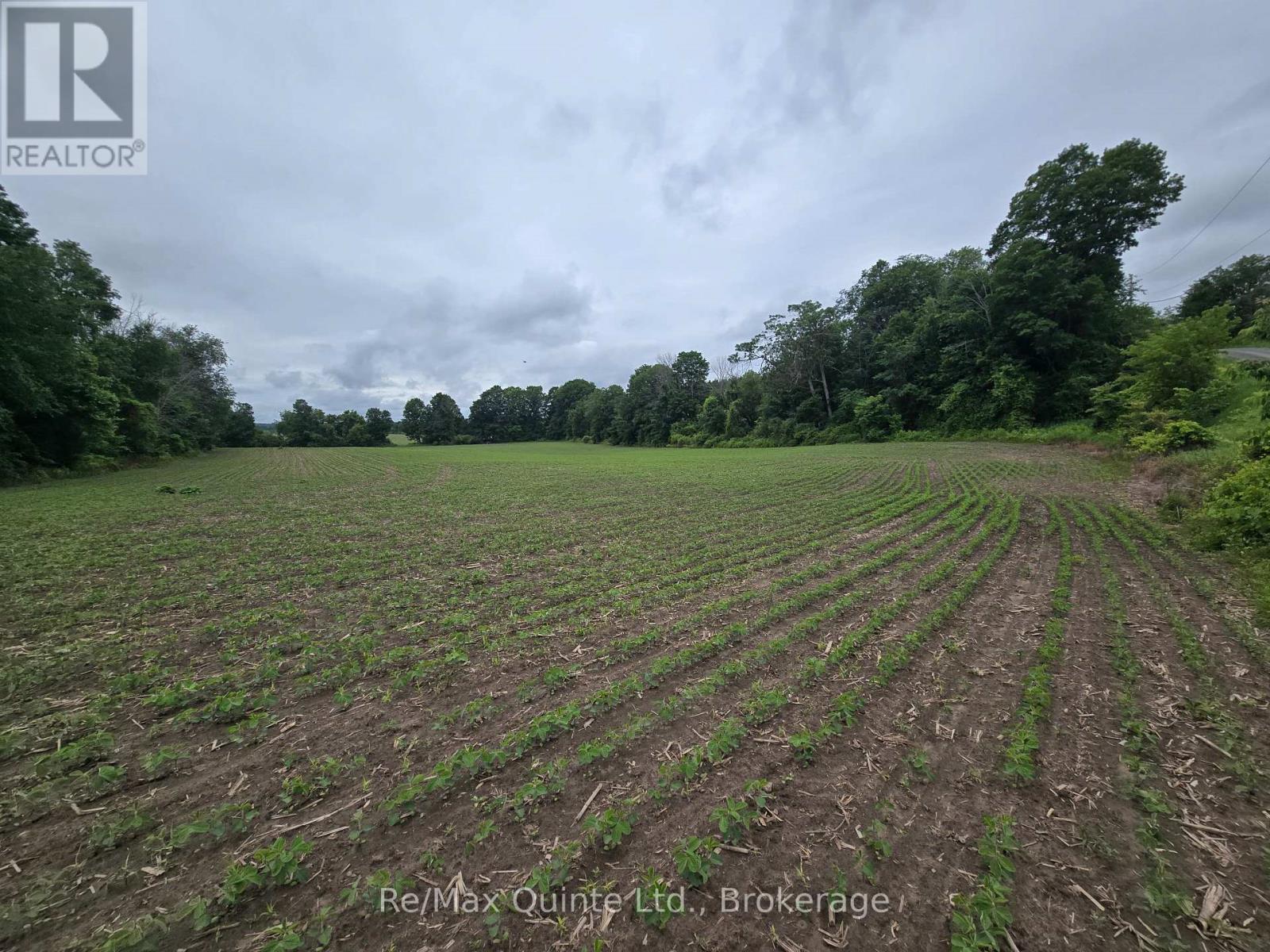 0 Marrisett Road, Tweed, Ontario  K0K 3H0 - Photo 3 - X12833442