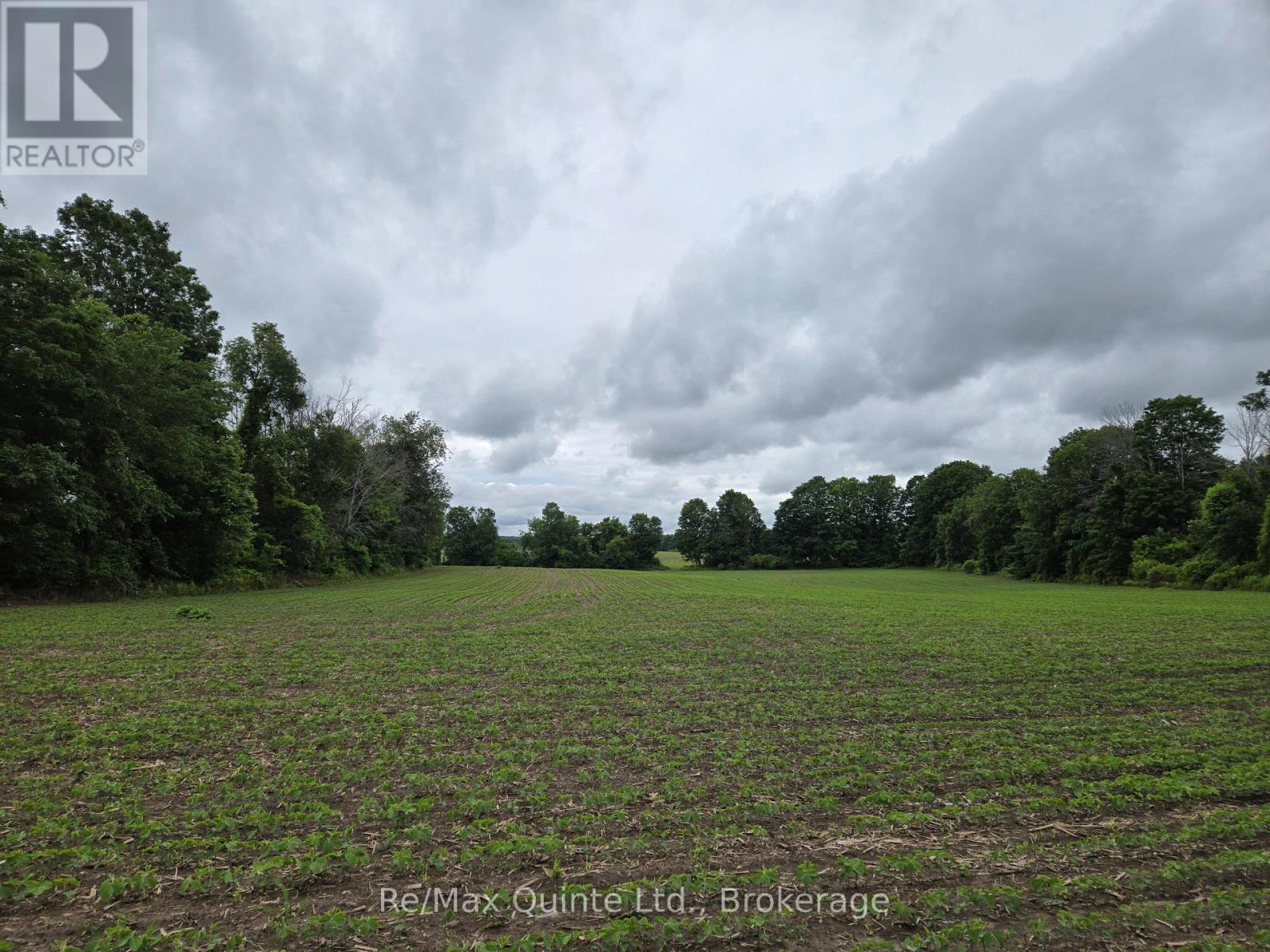 0 Marrisett Road, Tweed, Ontario  K0K 3H0 - Photo 9 - X12833442