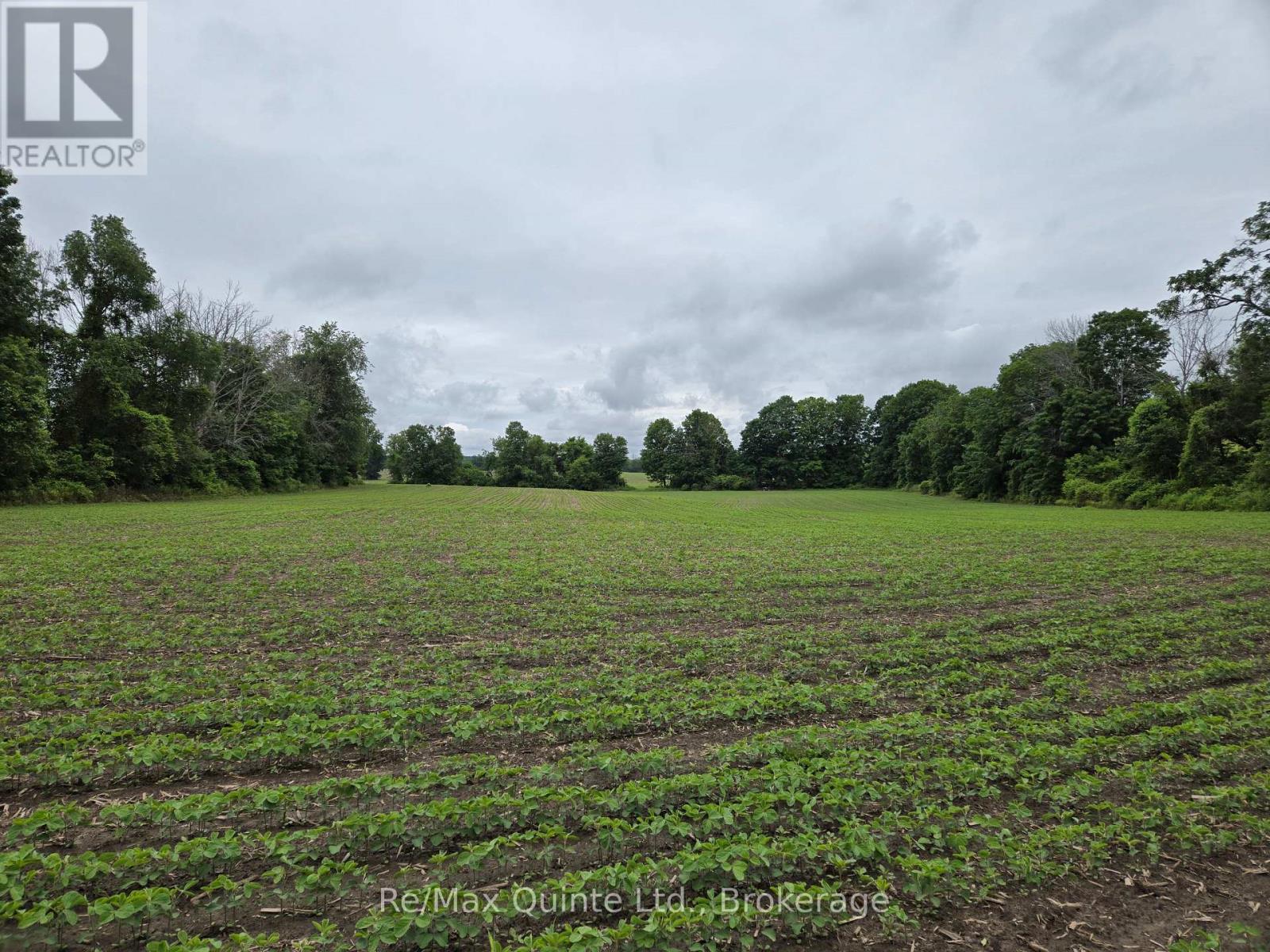 0 Marrisett Road, Tweed, Ontario  K0K 3H0 - Photo 1 - X12833442