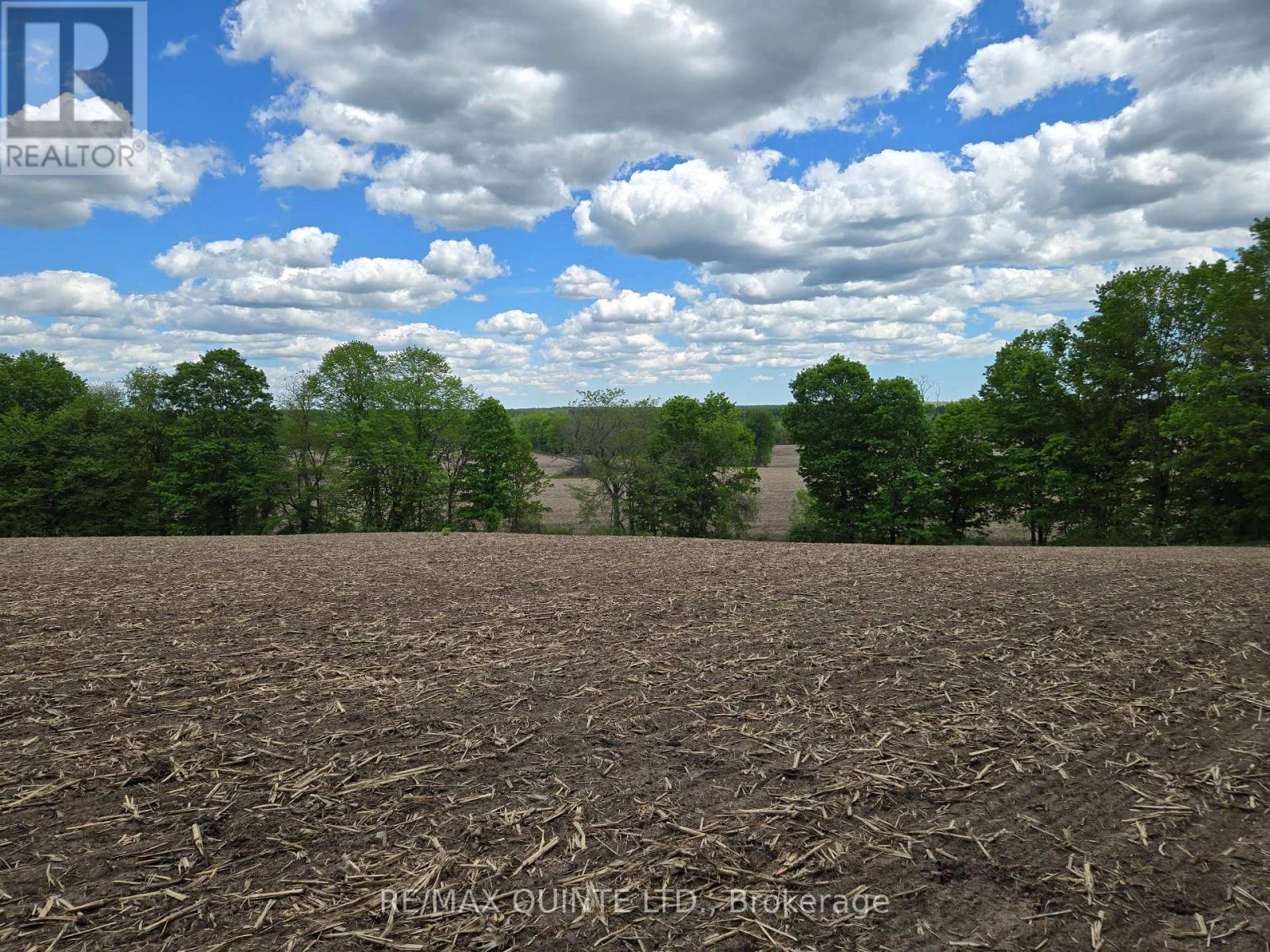 0 Marrisett Road, Tweed, Ontario  K0K 3H0 - Photo 11 - X12833428