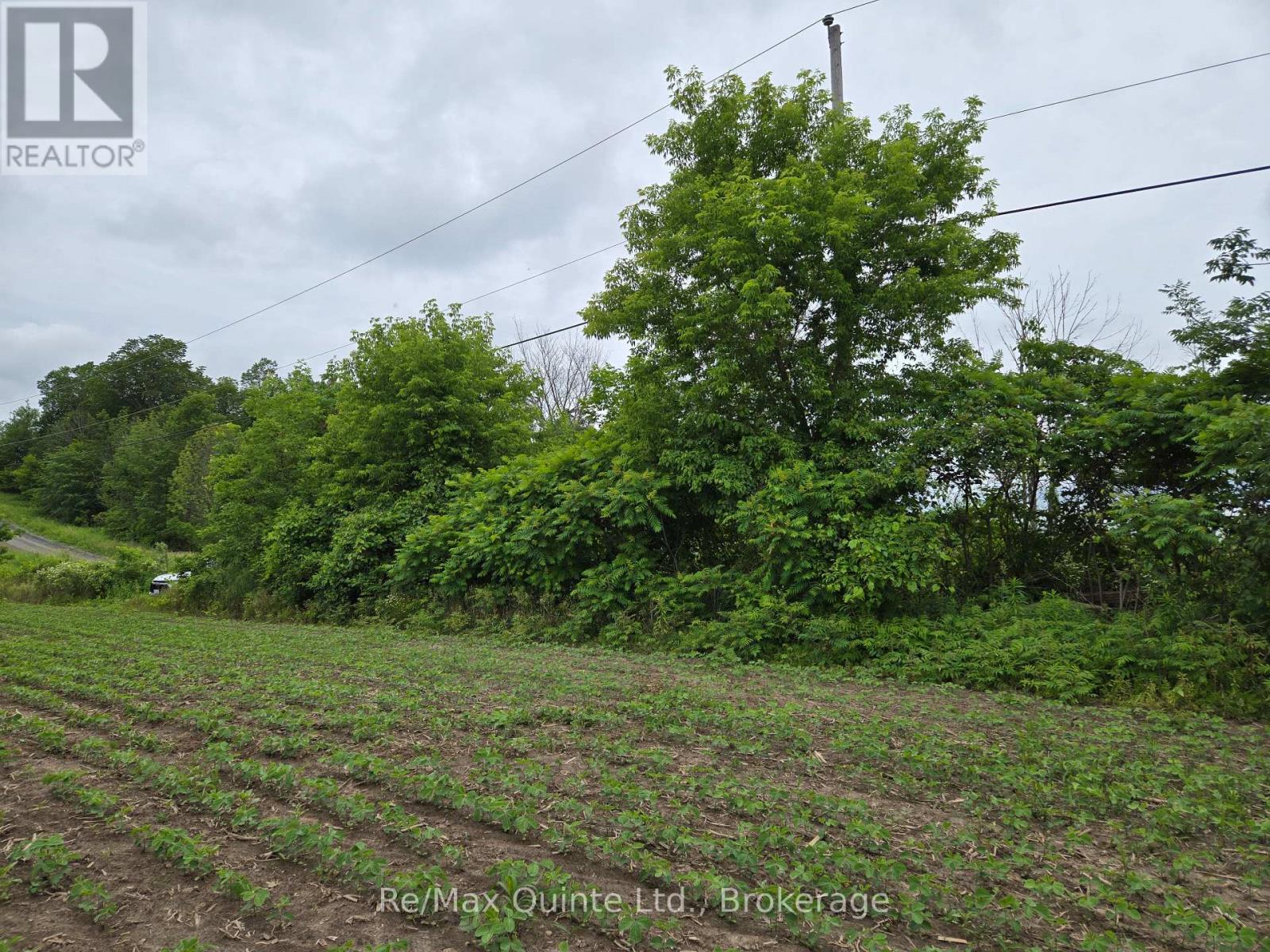 0 Marrisett Road, Tweed, Ontario  K0K 3H0 - Photo 17 - X12833442