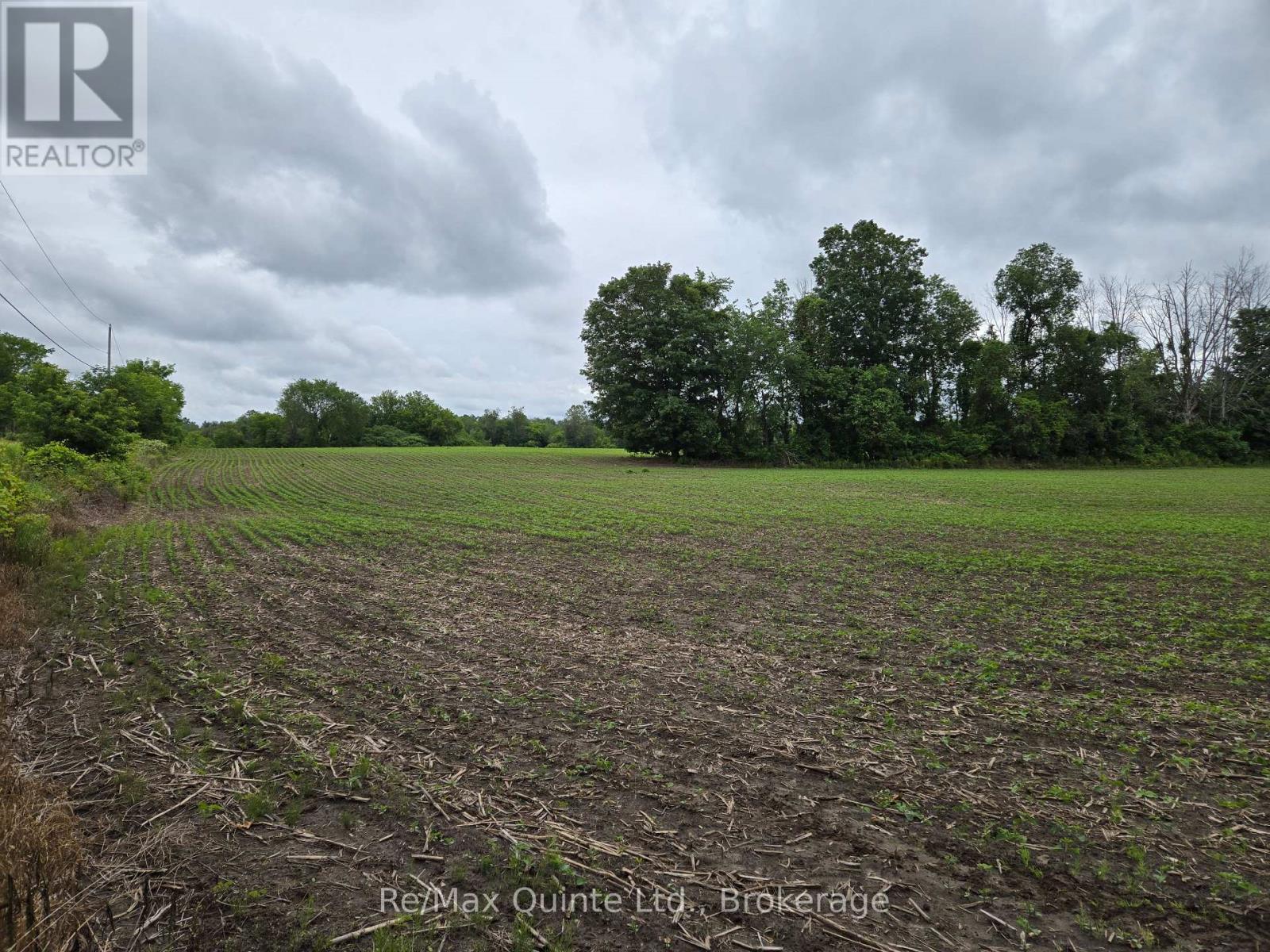 0 Marrisett Road, Tweed, Ontario  K0K 3H0 - Photo 11 - X12833442