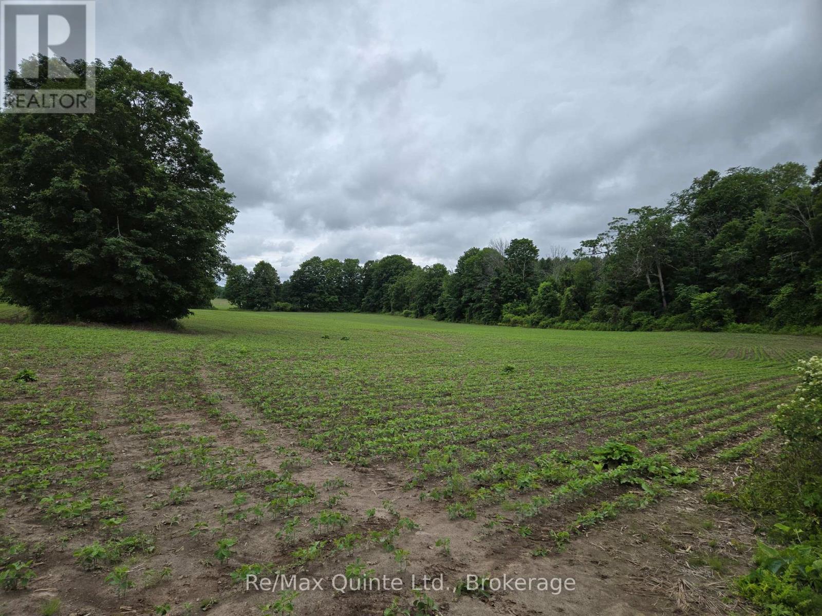 0 Marrisett Road, Tweed, Ontario  K0K 3H0 - Photo 19 - X12833442