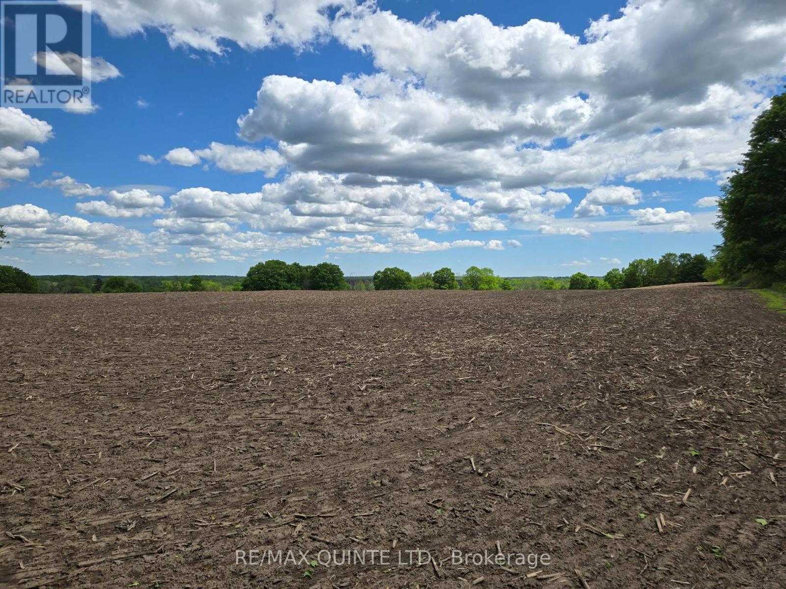 0 Marrisett Road, Tweed, Ontario  K0K 3H0 - Photo 4 - X12833428