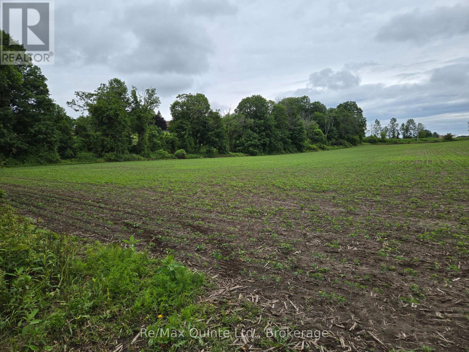 0 Marrisett Road, Tweed, Ontario  K0K 3H0 - Photo 8 - X12833442