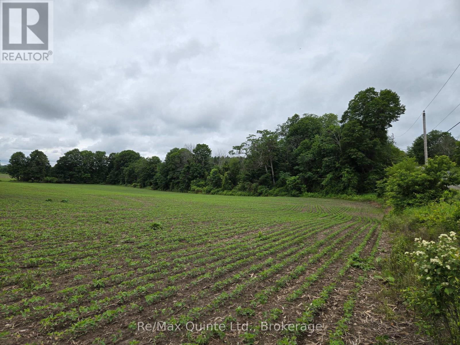 0 Marrisett Road, Tweed, Ontario  K0K 3H0 - Photo 21 - X12833442