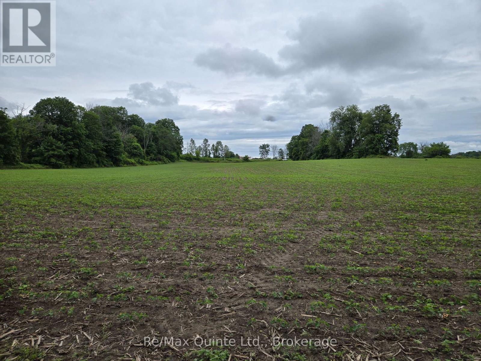 0 Marrisett Road, Tweed, Ontario  K0K 3H0 - Photo 6 - X12833442