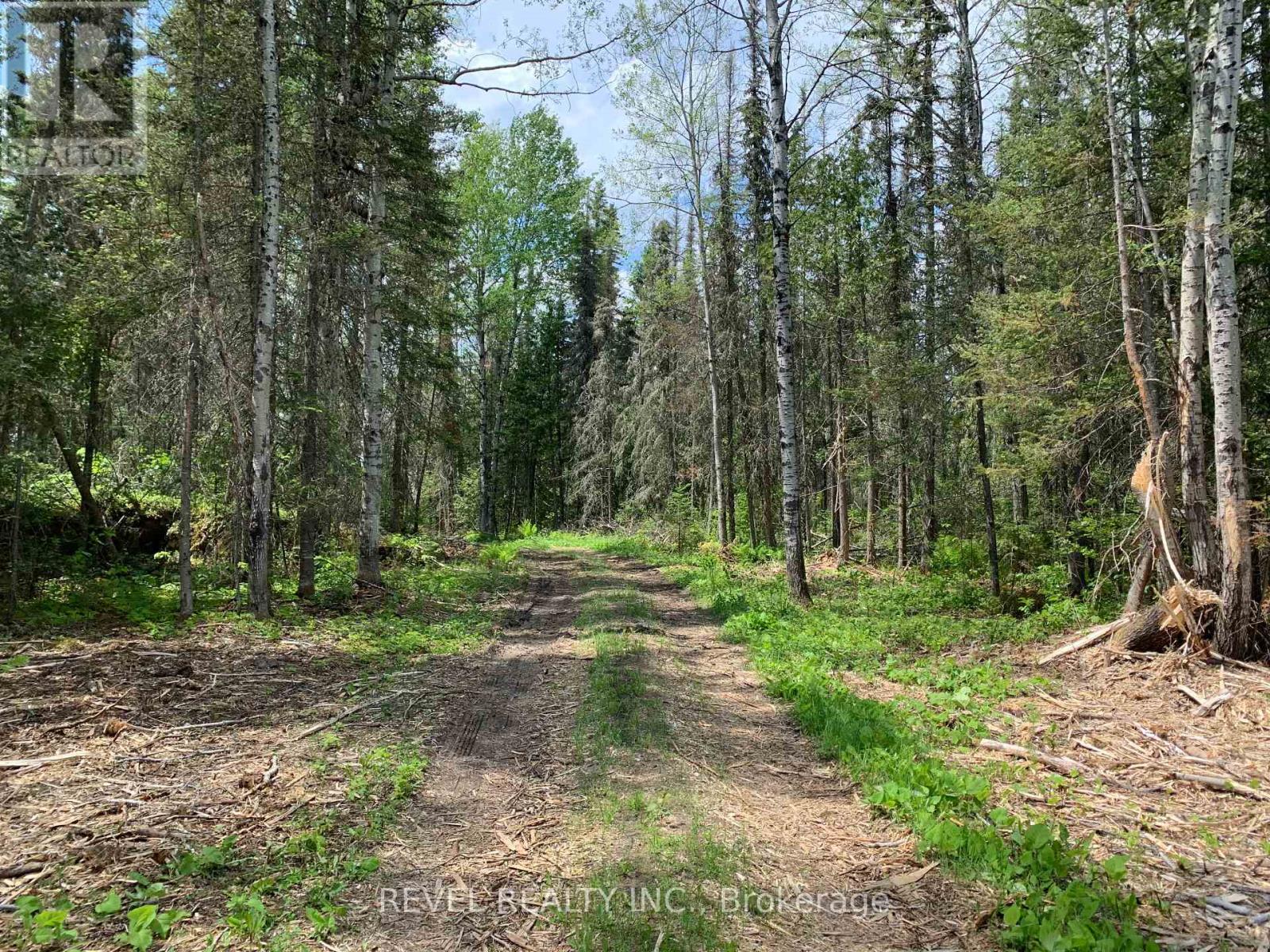 8625 Kamiskotia Road, Timmins, Ontario  P4R 0C8 - Photo 2 - T13475566