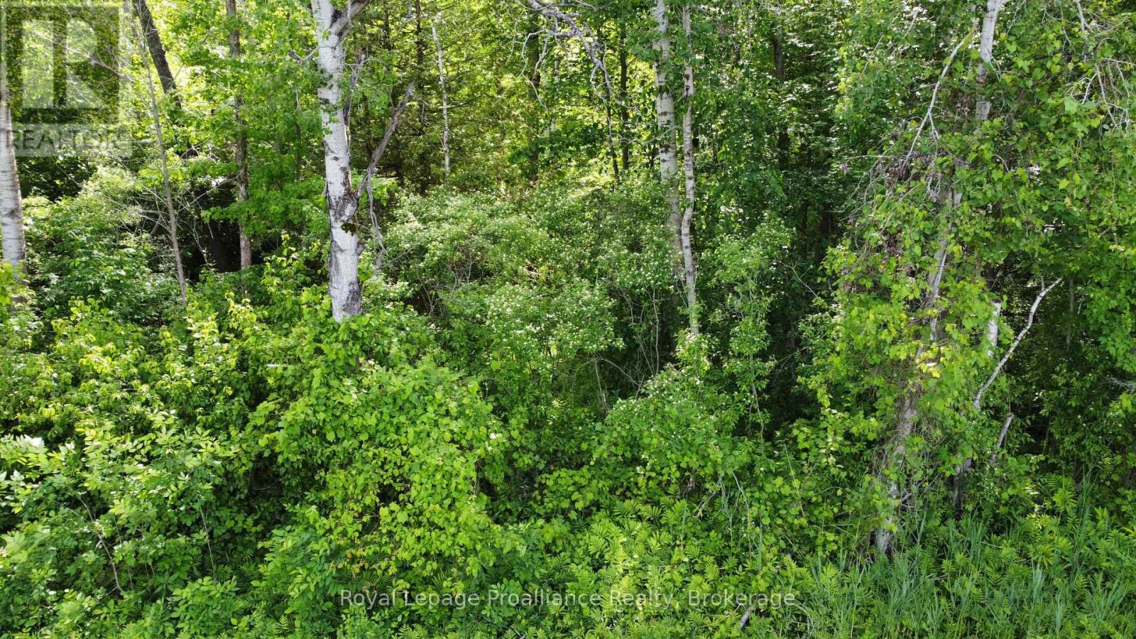 0 Teal (Rp 39r9098) Road, Quinte West, Ontario  K0K 3M0 - Photo 7 - X13476122