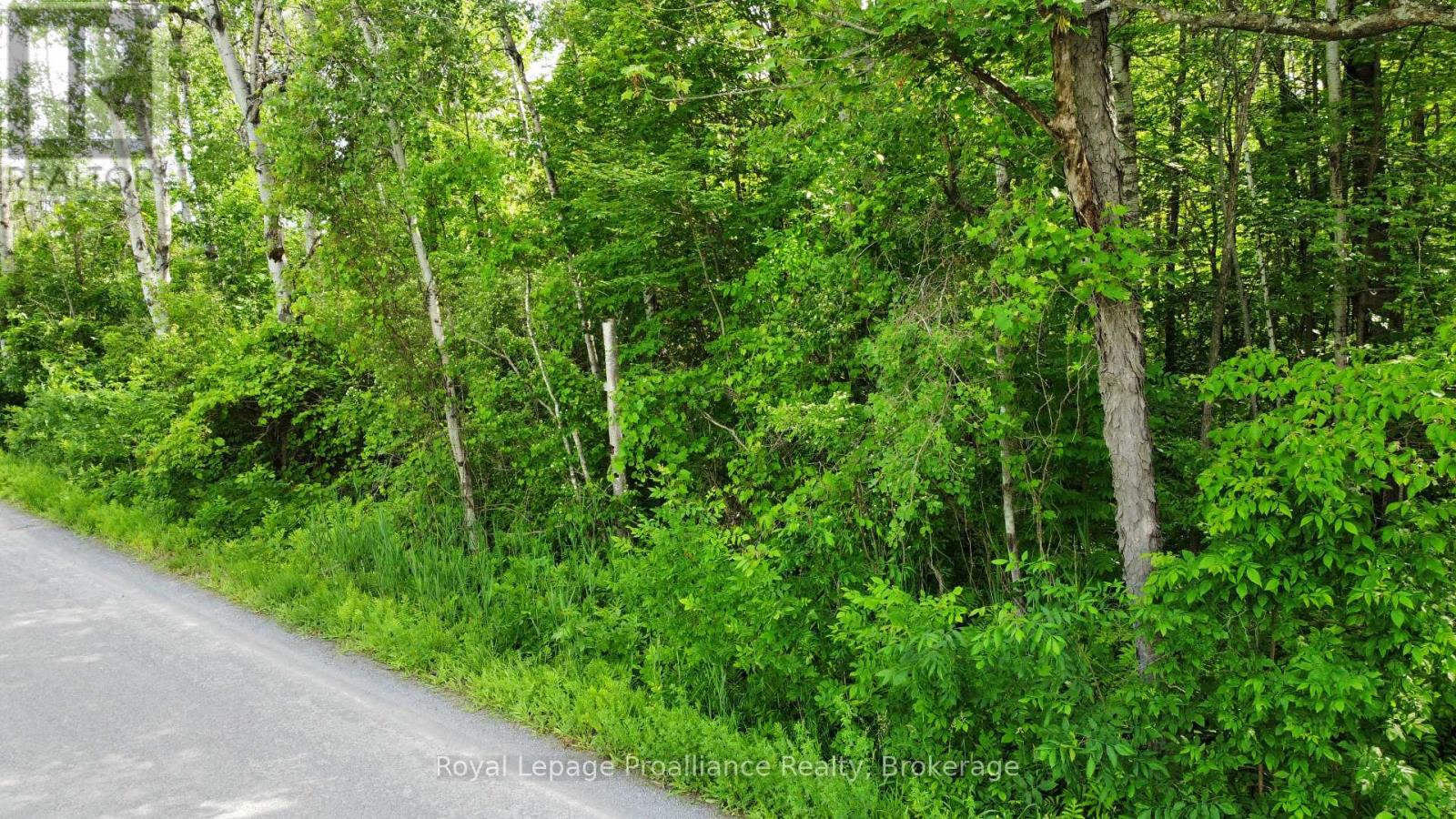 0 Teal (Rp 39r9098) Road, Quinte West, Ontario  K0K 3M0 - Photo 3 - X13476122
