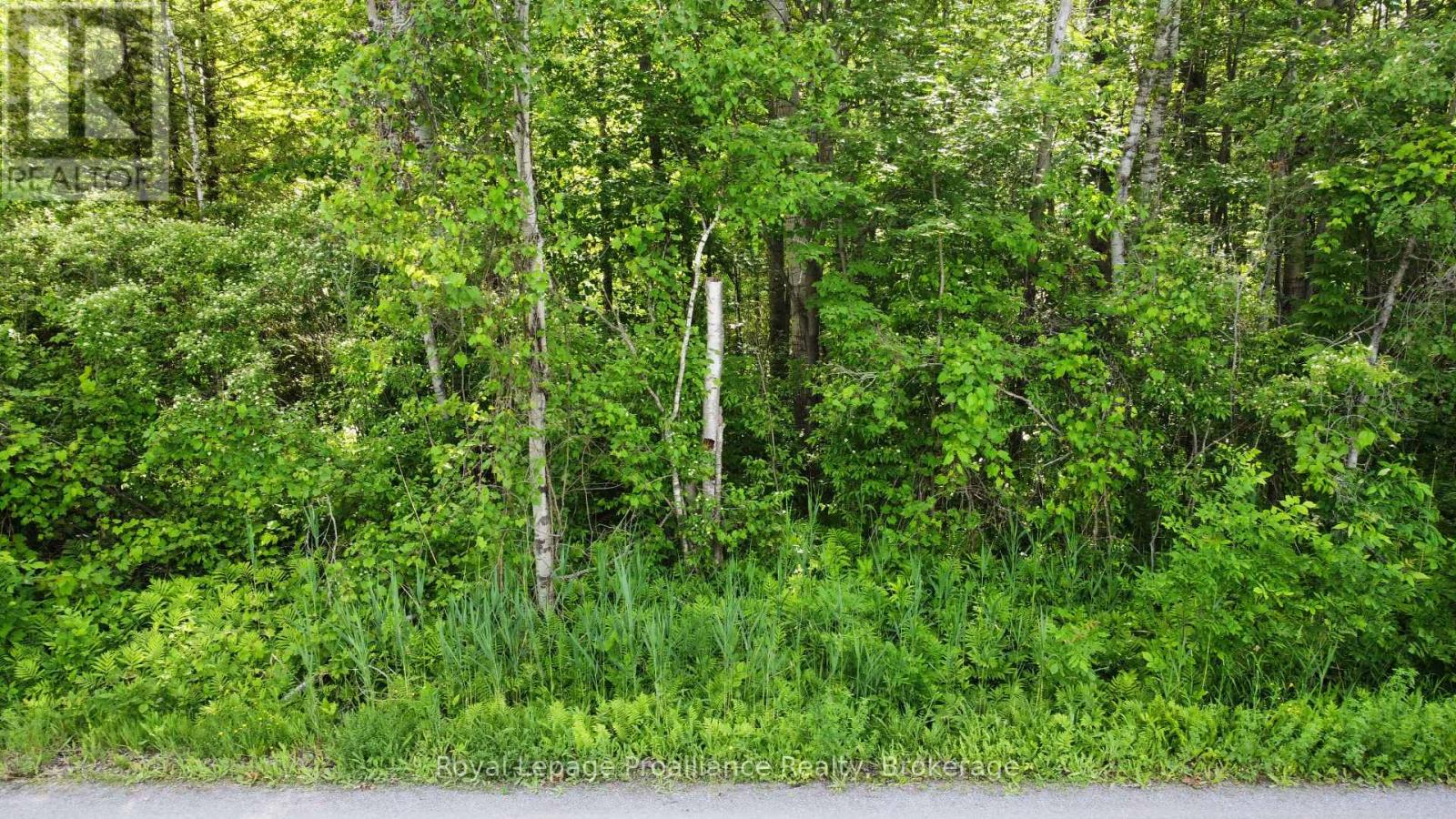 0 Teal (Rp 39r9098) Road, Quinte West, Ontario  K0K 3M0 - Photo 6 - X13476122